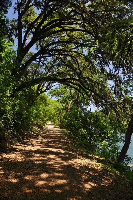 Guadalupe River